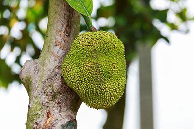 《最终幻想14》官方INS分享6.0版新坐骑 等级检测仪